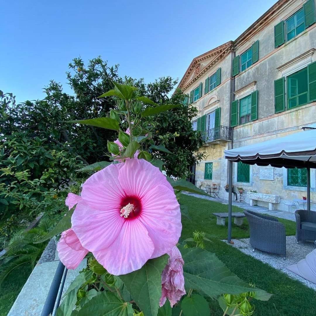 Agriturismo Villa Cavallini Camaiore Buitenkant foto